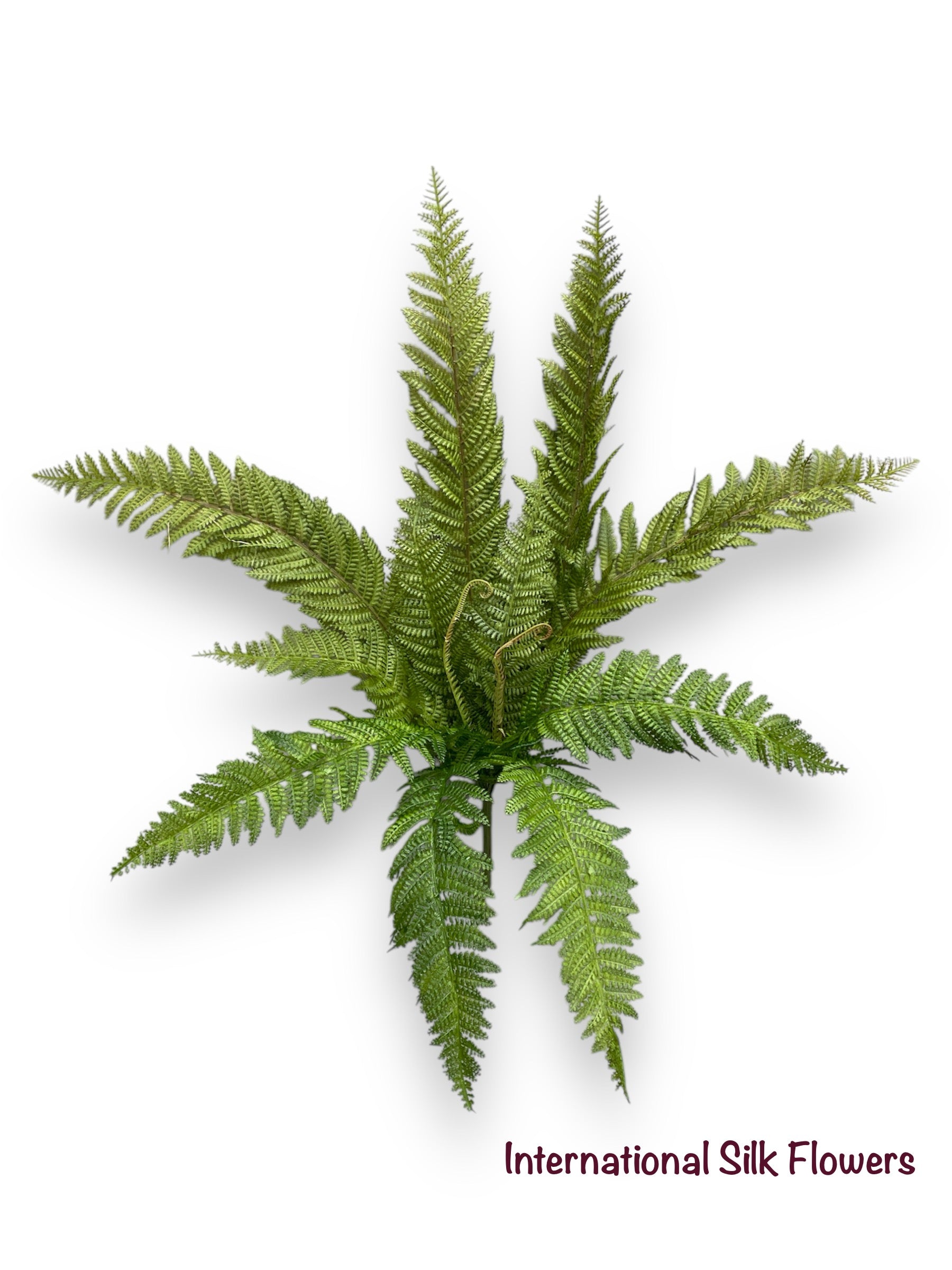 26.77'' Fern Bush ( PB1004 )