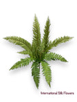 26.77'' Fern Bush ( PB1004 )