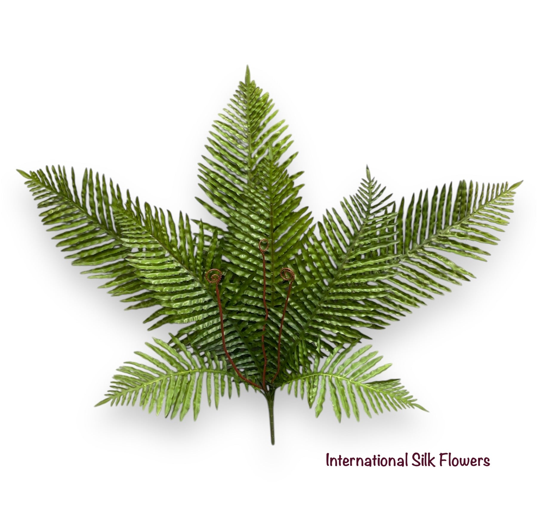 30.71'' Fern Bush ( PB1009 )