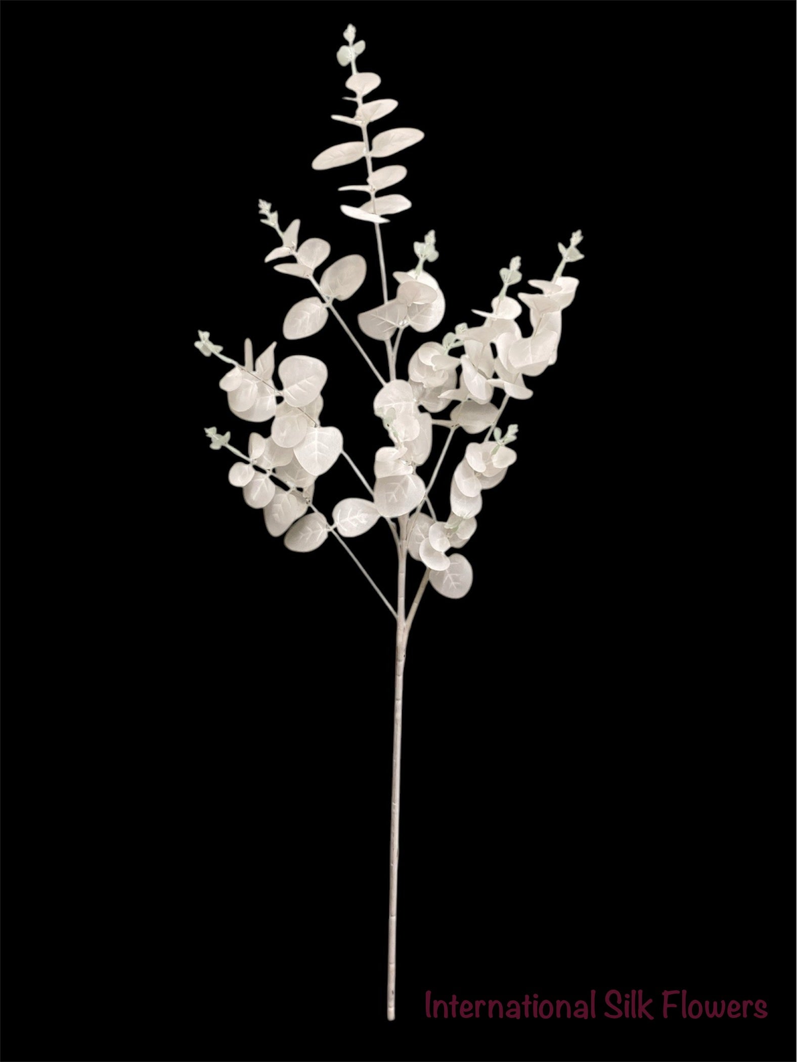 37'' EUCALYPTUS SPRAY ( SS001-White )