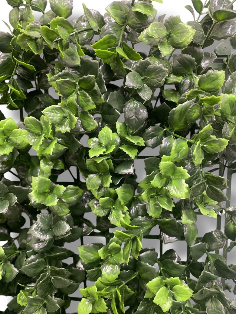 20'' Reineckla Carnea ( 20038-Light Green )