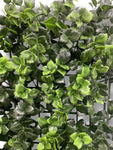 20'' Reineckla Carnea ( 20038-Light Green )