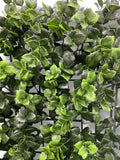 20'' Reineckla Carnea ( 20038-Light Green )