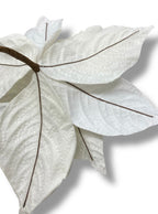 27''  Poinsettia Spray ( 269894-CR )