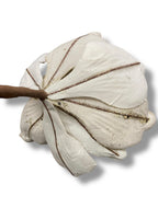 25'' Christmas Single Magnolia Spray ( GF2276-CH )