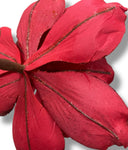 25'' Christmas Single Magnolia Spray ( GF2276-RD )