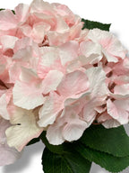 18'' Hydrangea Bush ( B5K70-Pink )