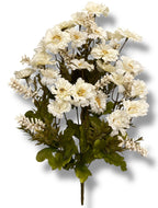 20 Mini Daisy/Astible Bush ( 106363-CR )