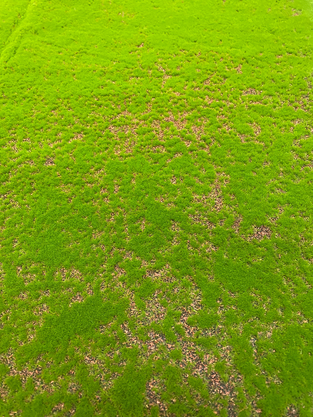 39.37''x39.37'' Moss Sheet ( YM-CP005-Green )