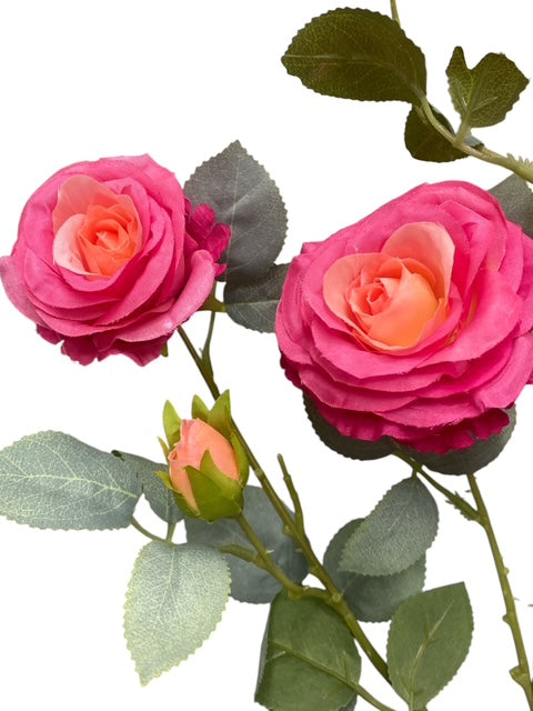 29'' Single Open Rose ( INT5554-#3 Beauty )
