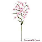 29'' Tweedia Spray  ( FST322-PK/DK )