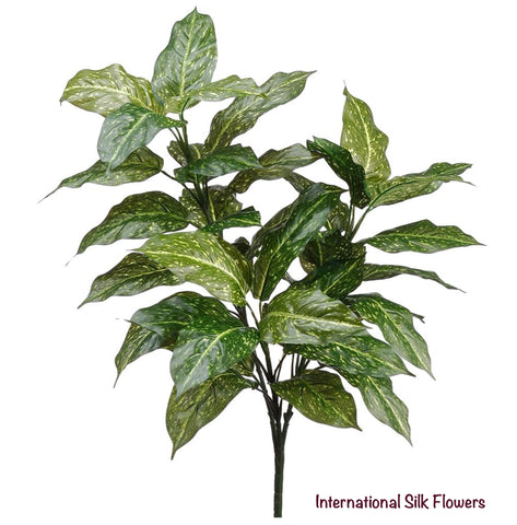 33" Acuba Plant ( PPH313-GR/CR )