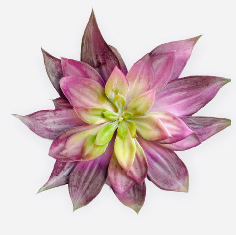 7'' Butterfly Succulent ( 142770-Purple )