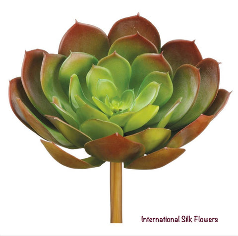 6" Real Touch Echeveria Pick ( CE5010-GR/BU )