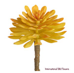 6" Soft Aeonium Pick ( CKA940- Yellow )