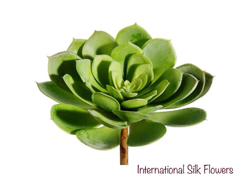 6'' Soft Touch Echeveria Pick ( CE4199-Green )