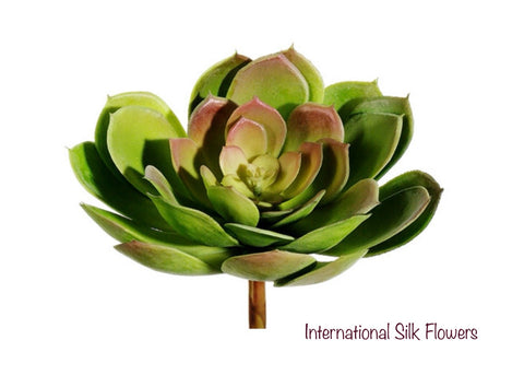 6'' Soft Touch Echeveria Pick ( CE4199-Green Burgundy )