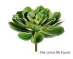 6'' Soft Touch Echeveria Pick ( CE4199-2Tone Green )