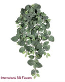 30” Fittonia Hanging Bush ( PBW915-GR )
