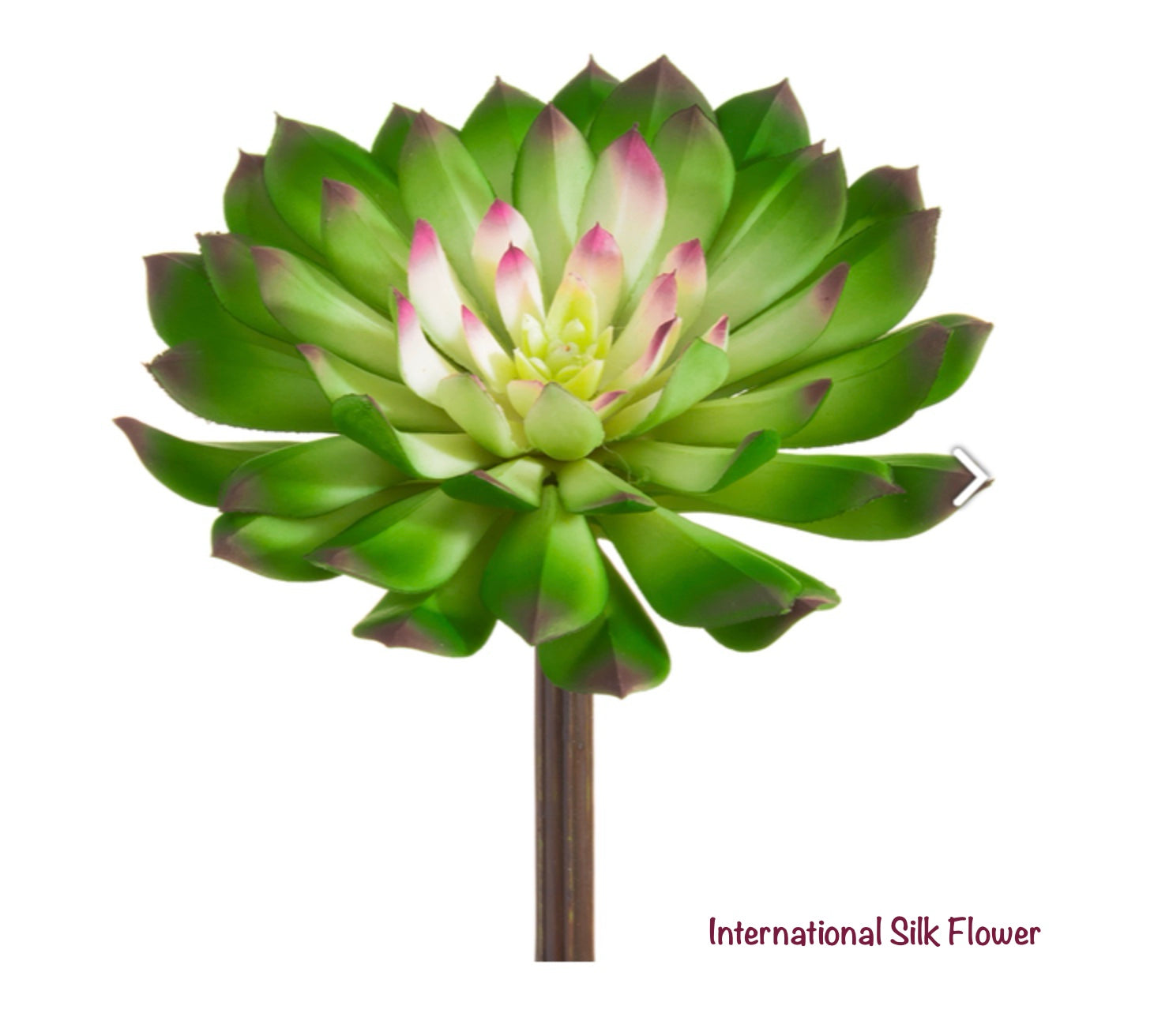 6” Soft Echeveria Pick ( CE0122-Green White )