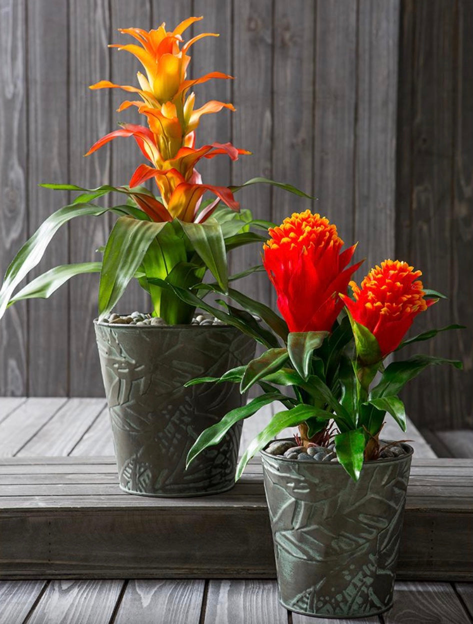 14" Bromeliad Spray ( FSB906-FL )