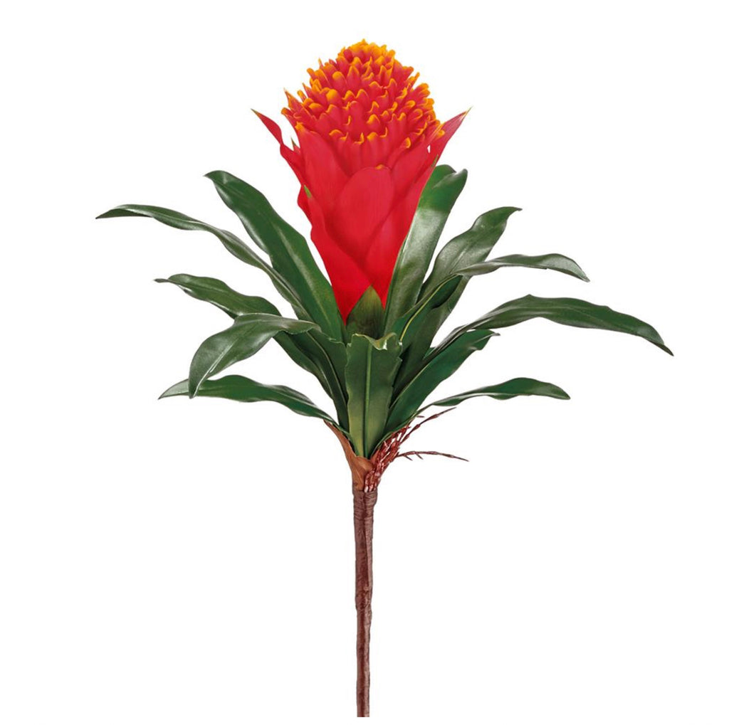 14" Bromeliad Spray ( FSB906-FL )