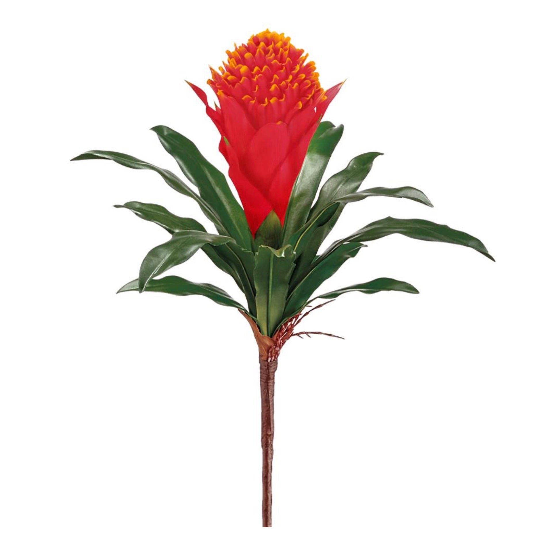 14" Bromeliad Spray ( FSB906-FL )
