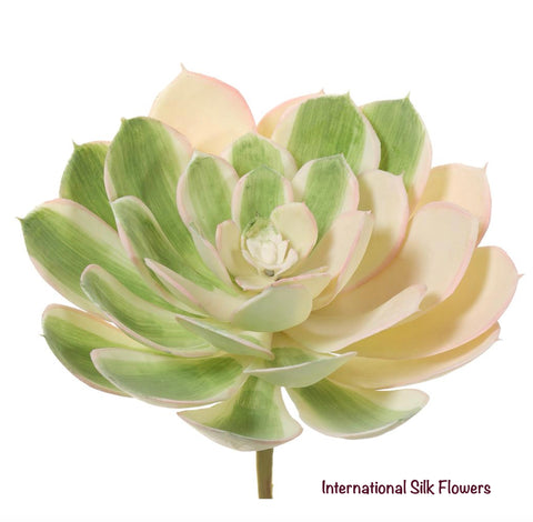 6'' Soft Touch Echeveria Pick ( CE4199-Green Blush )