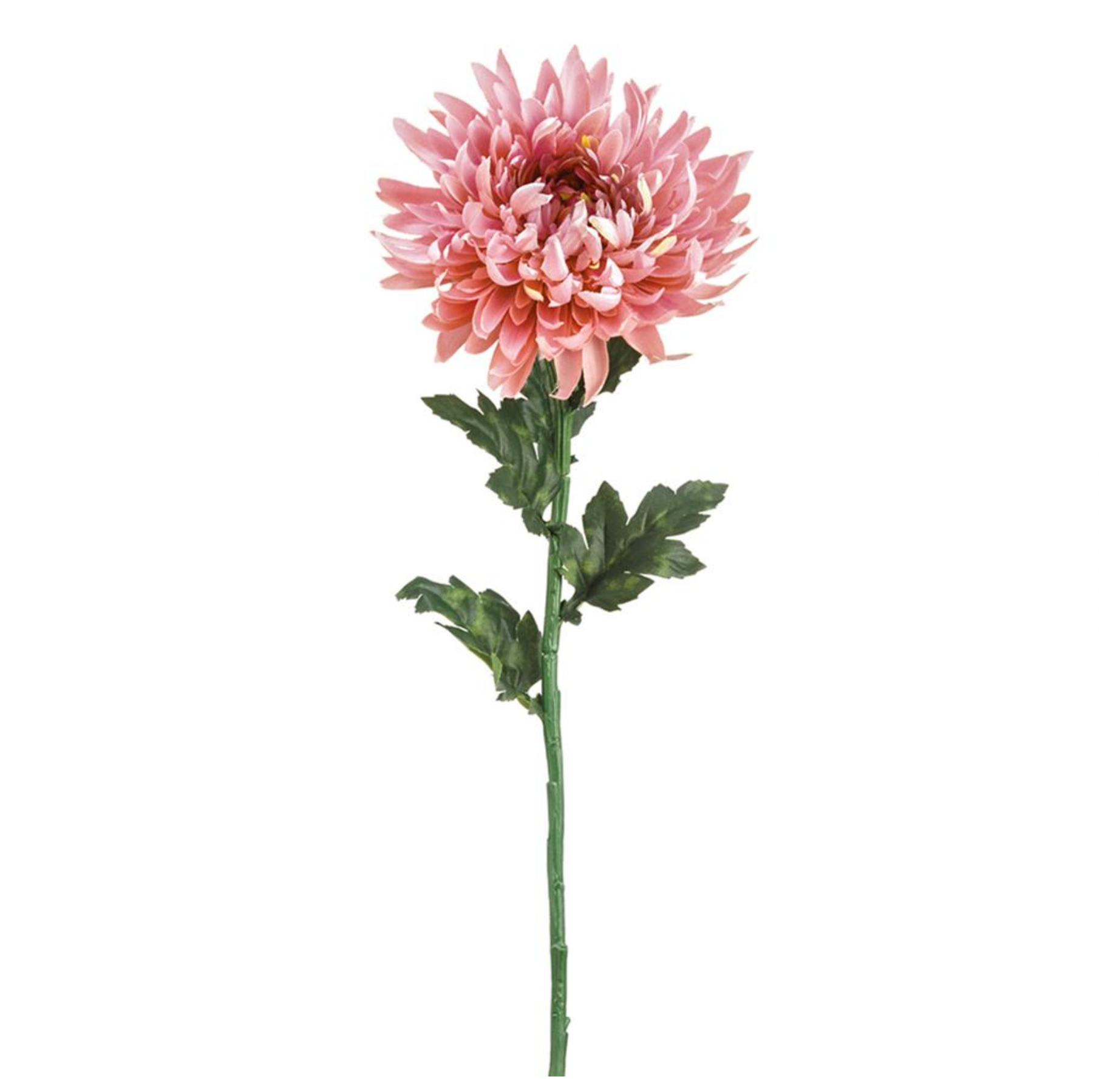 24'' Chrysanthemum Spray (FSC128-MV )
