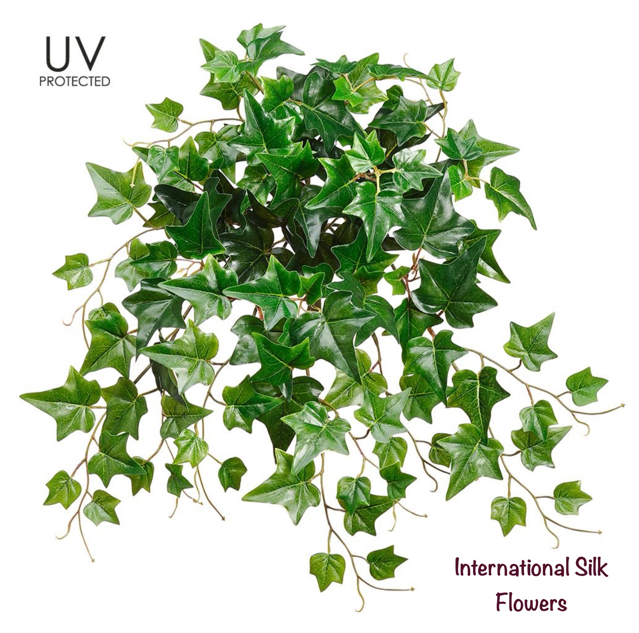 20'' UV Protected IVY Bush ( PBI120-GR )