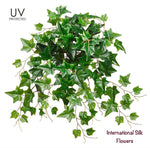 20'' UV Protected IVY Bush ( PBI120-GR )