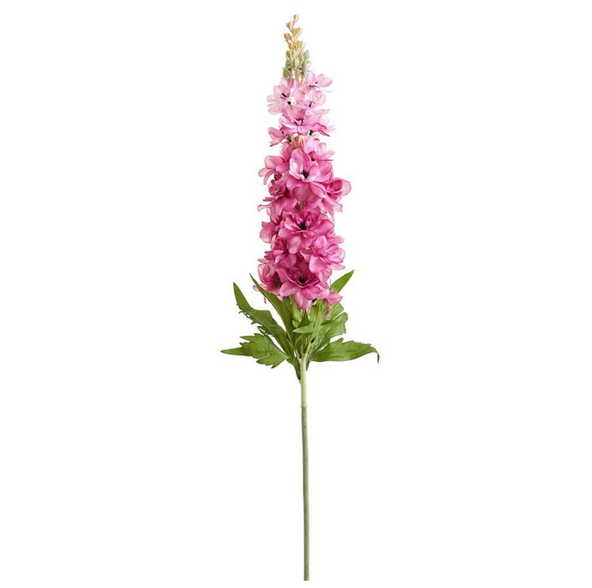 41" Delphinium Spray ( FSD080-Rose )