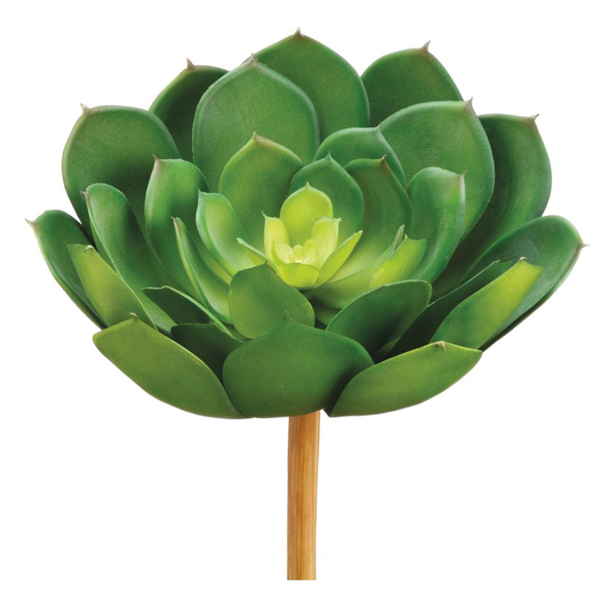 6" Real Touch Echeveria Pick ( CE5010-GR )