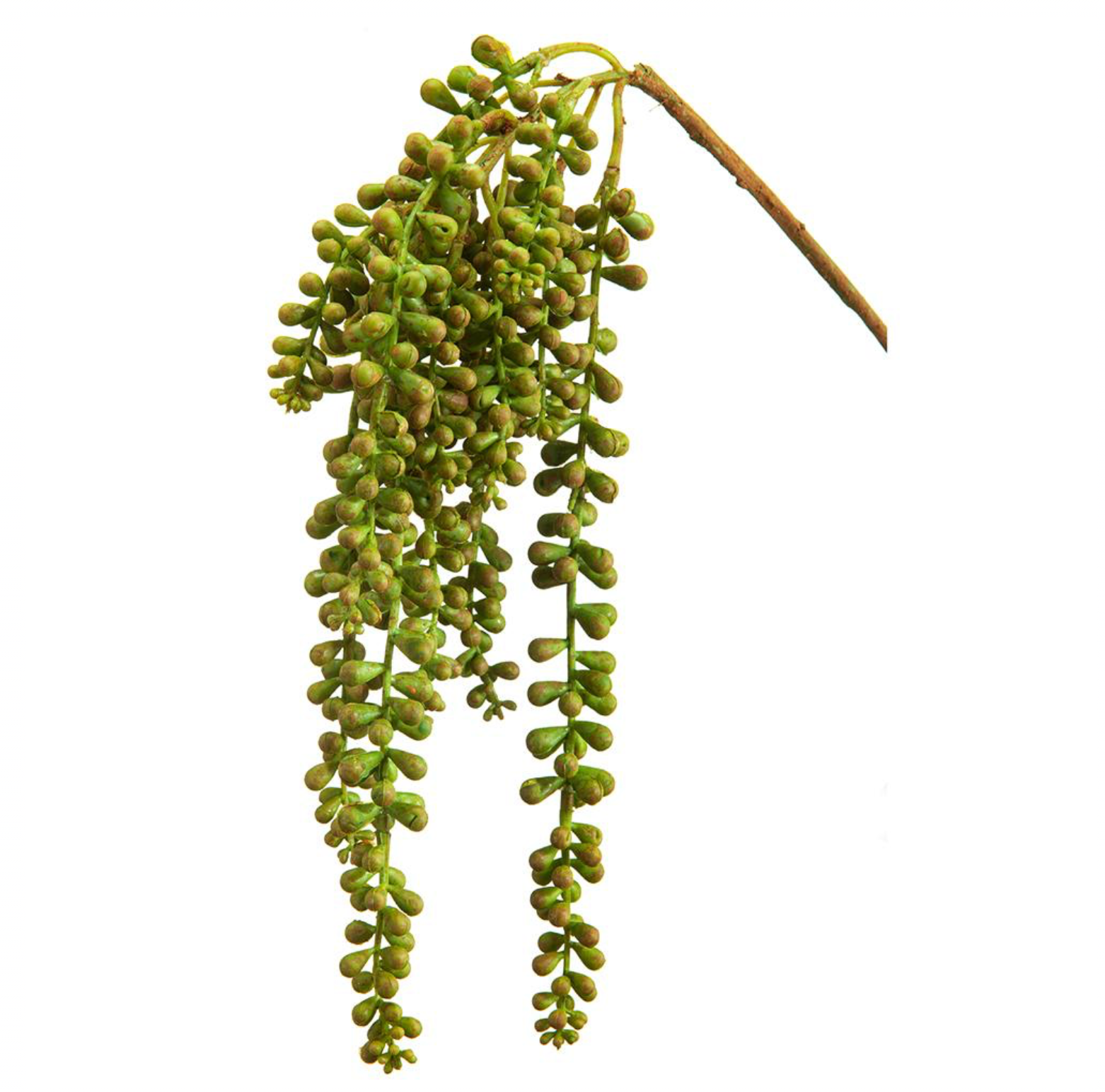 19'' SOFT TOUCH DONKEY TAIL PICK ( CD0102-Green/Rust )