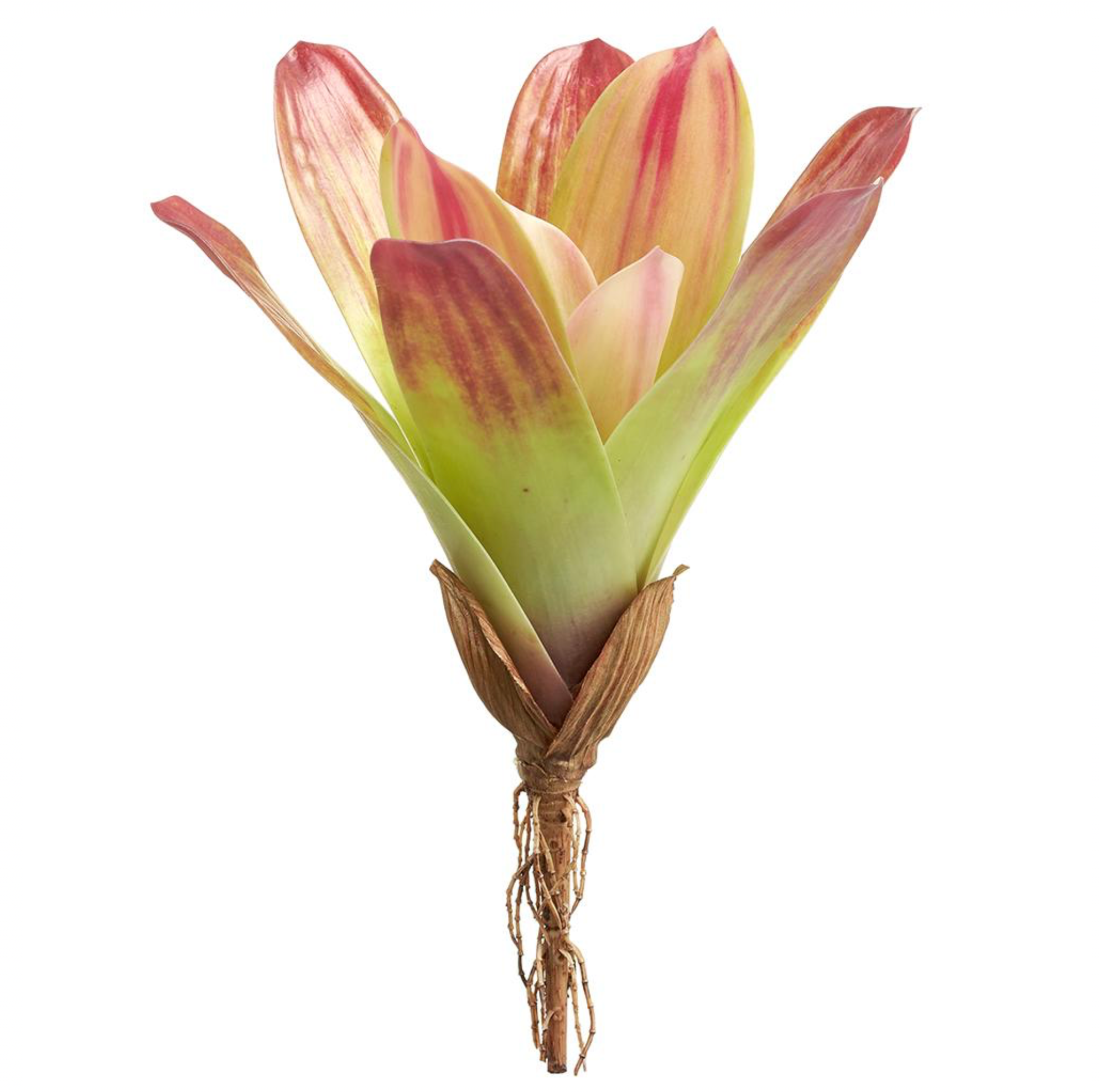 12'' Bromeliad Plant ( PPB084-GR/RE )