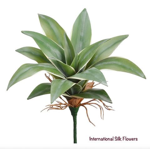 10'' Dracaena Pick ( PKD190-VG )