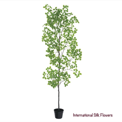 8' Peperomia Tree ( LTP639-GR )