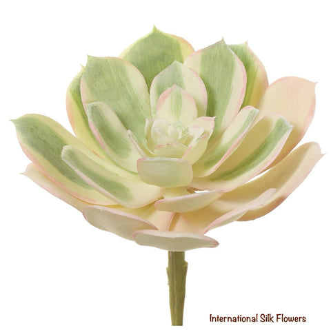 5” Soft Echeveria Pick ( CM4416-GR/BS )