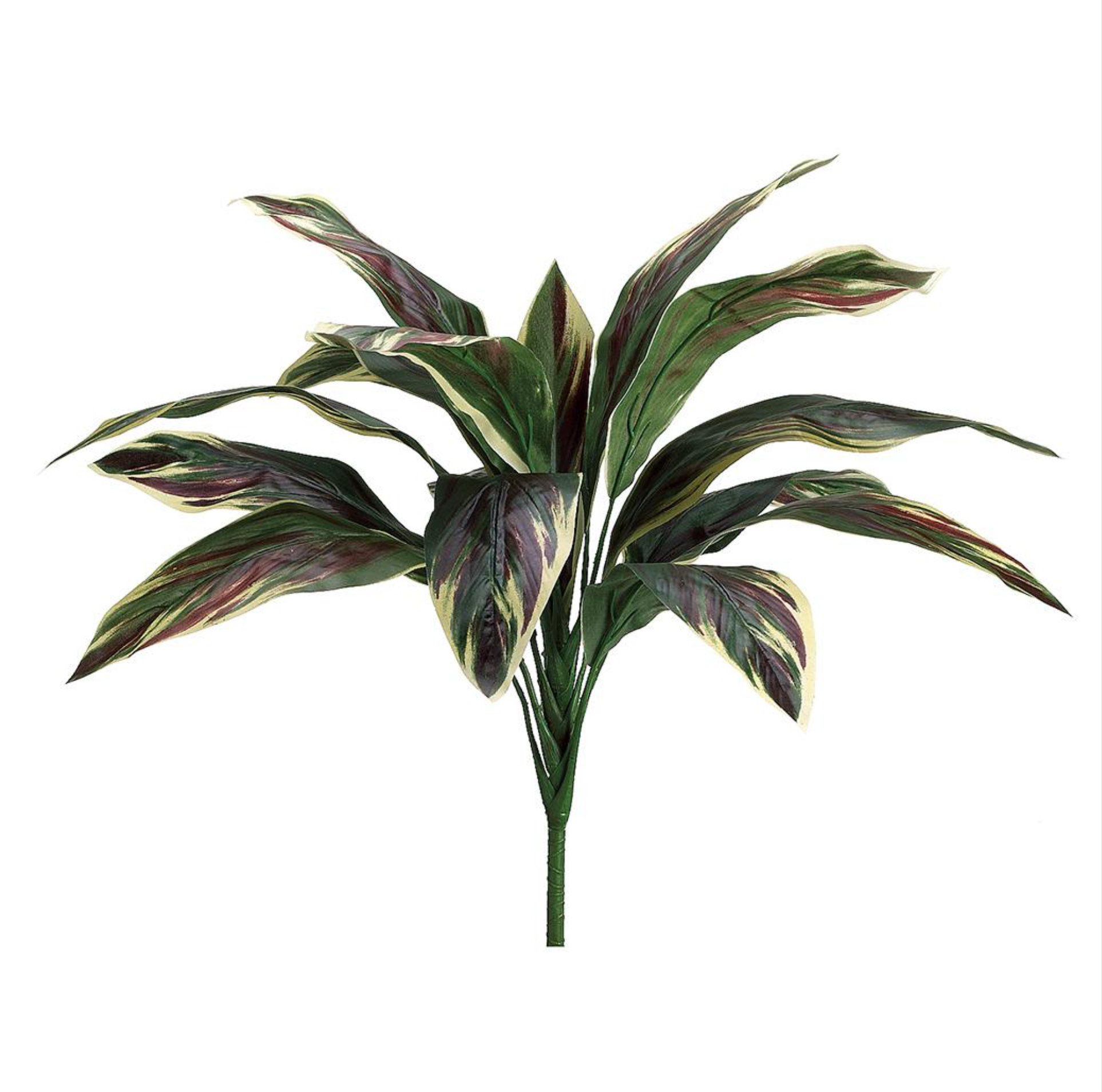 26'' Cordyline Bush ( PBC128-GR/PK )