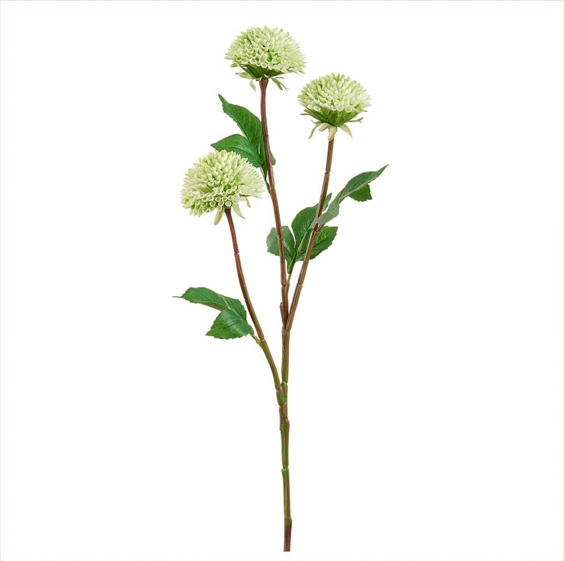 28.5" Dahlia Spray (FSD209-CR/GR )