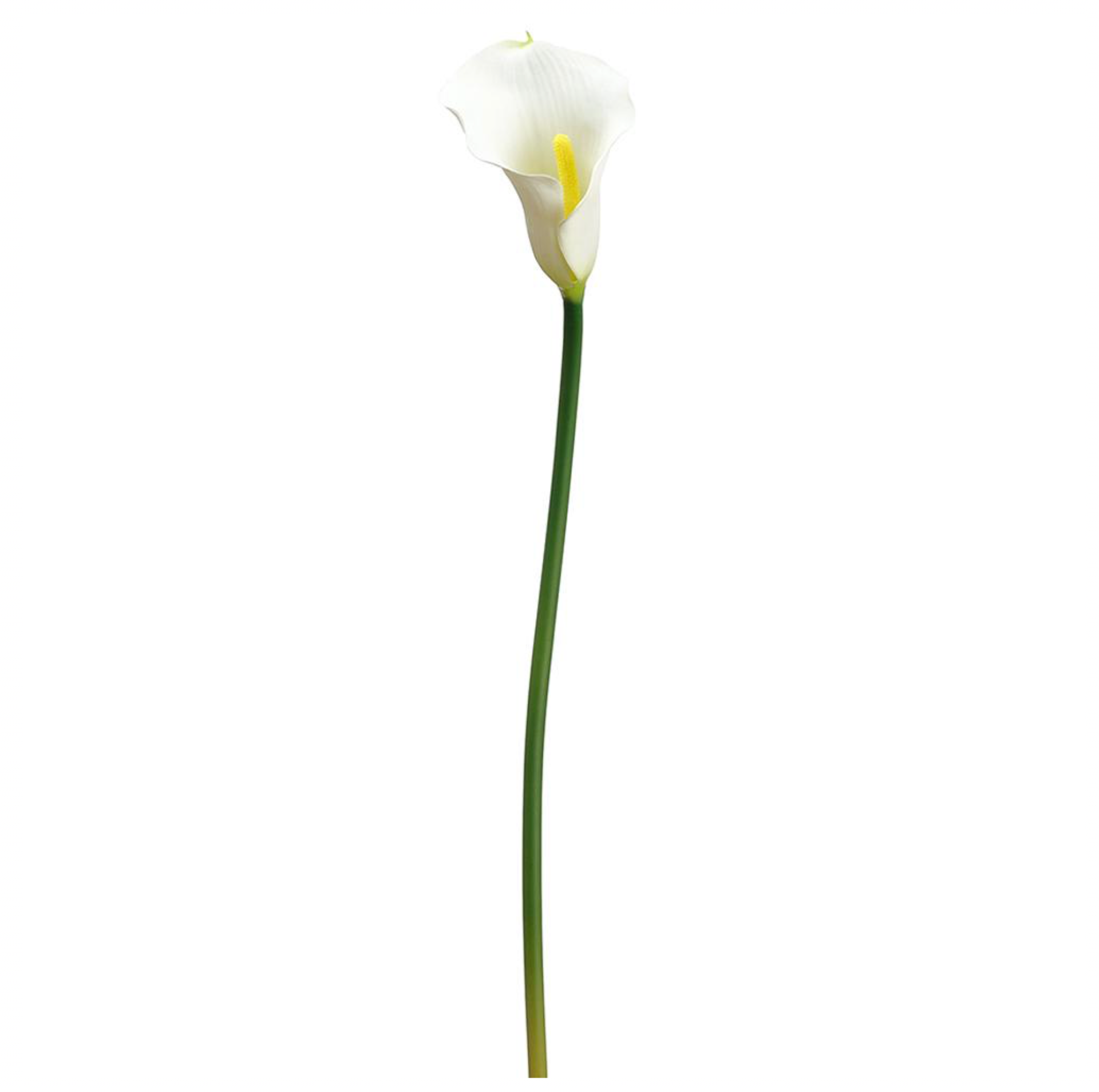 23" Real Touch Calla Lily Spray ( FSL220-WH )