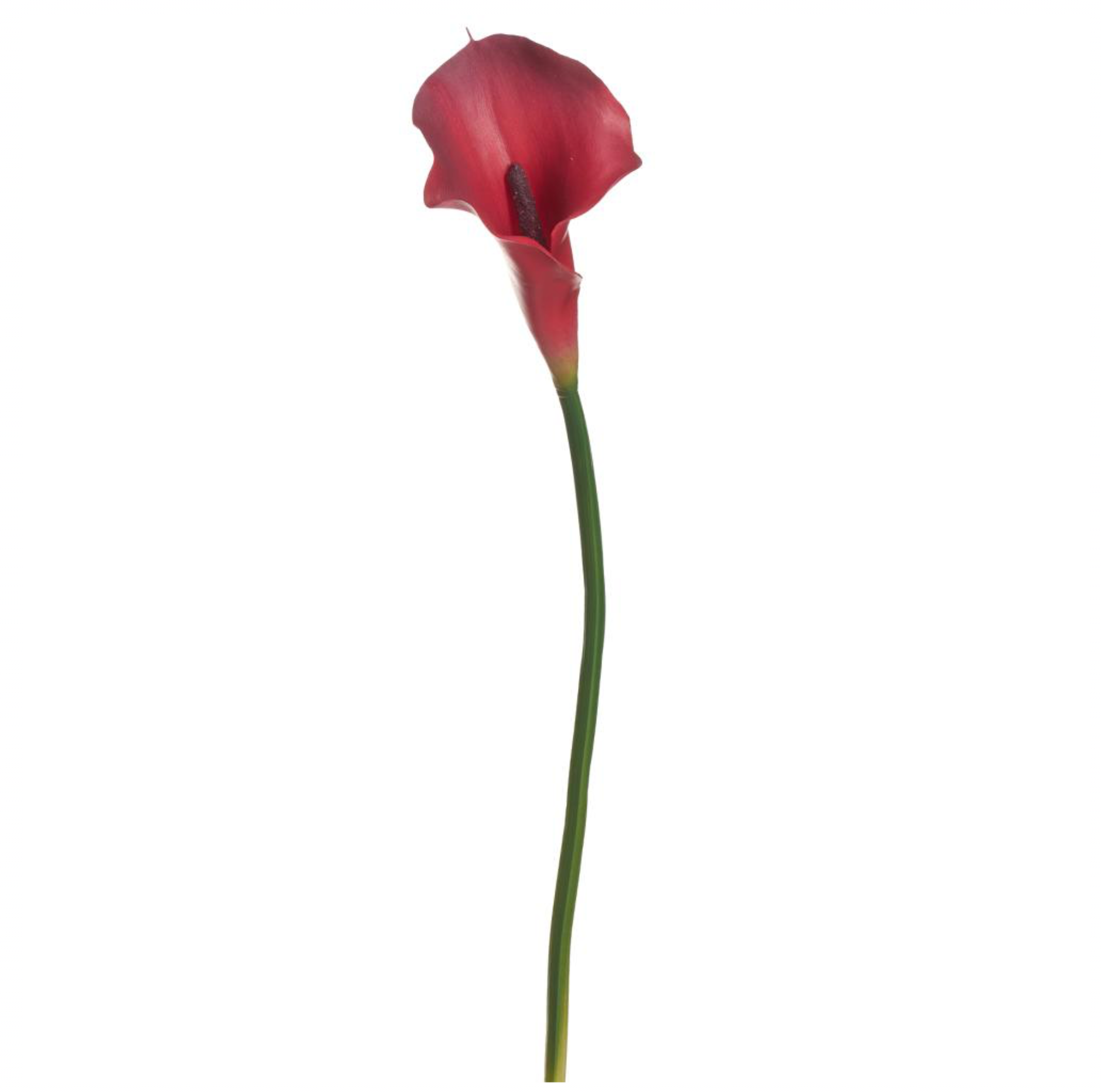 21" PVC Calla Lily ( FSL500-Beauty )