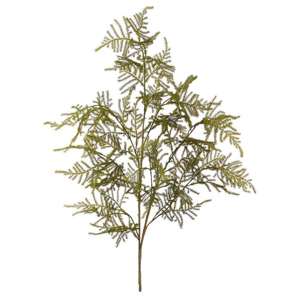 38" Asparagus Fern Spray ( PSF739-Green )