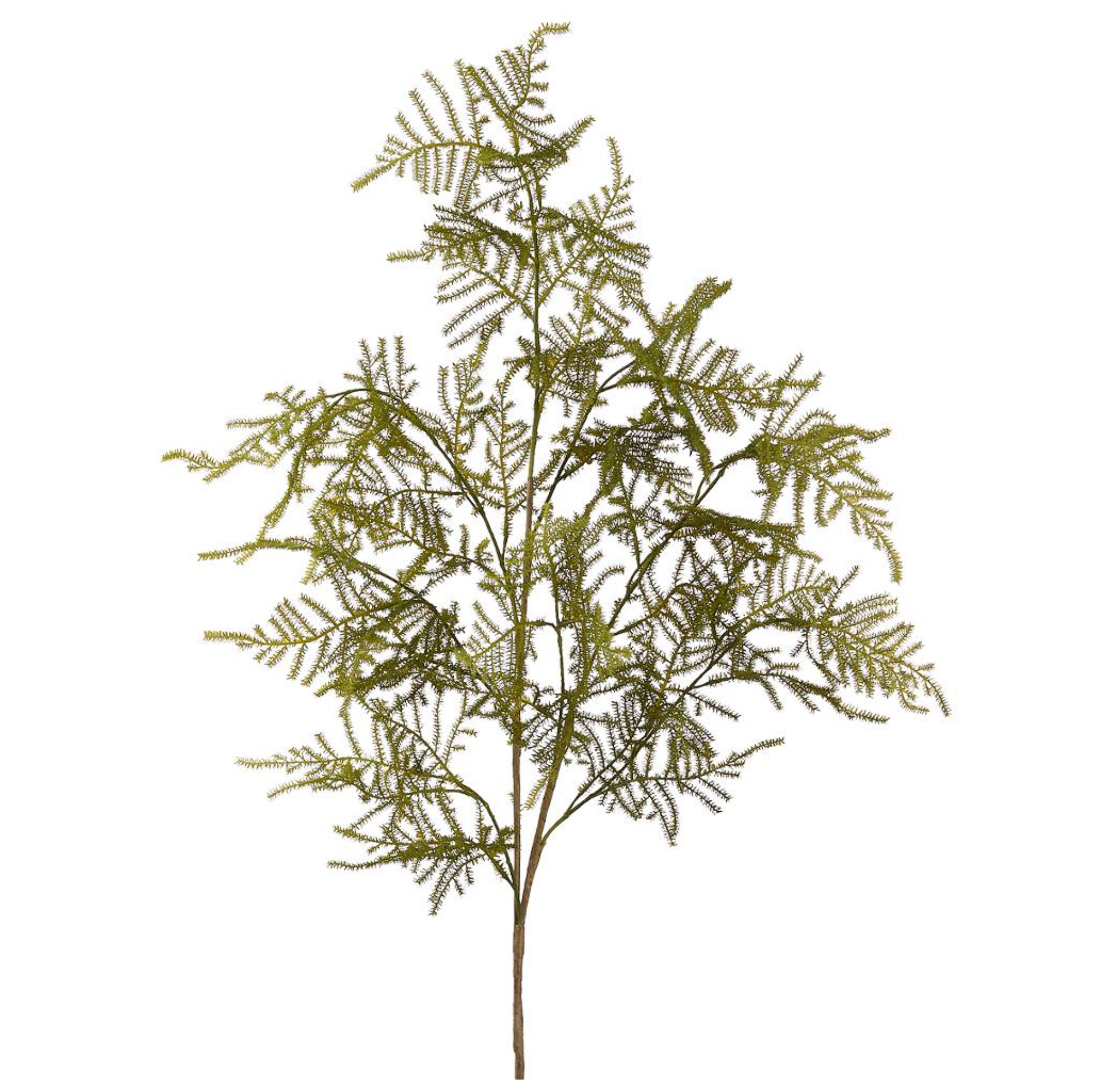 38" Asparagus Fern Spray ( PSF739-Green )