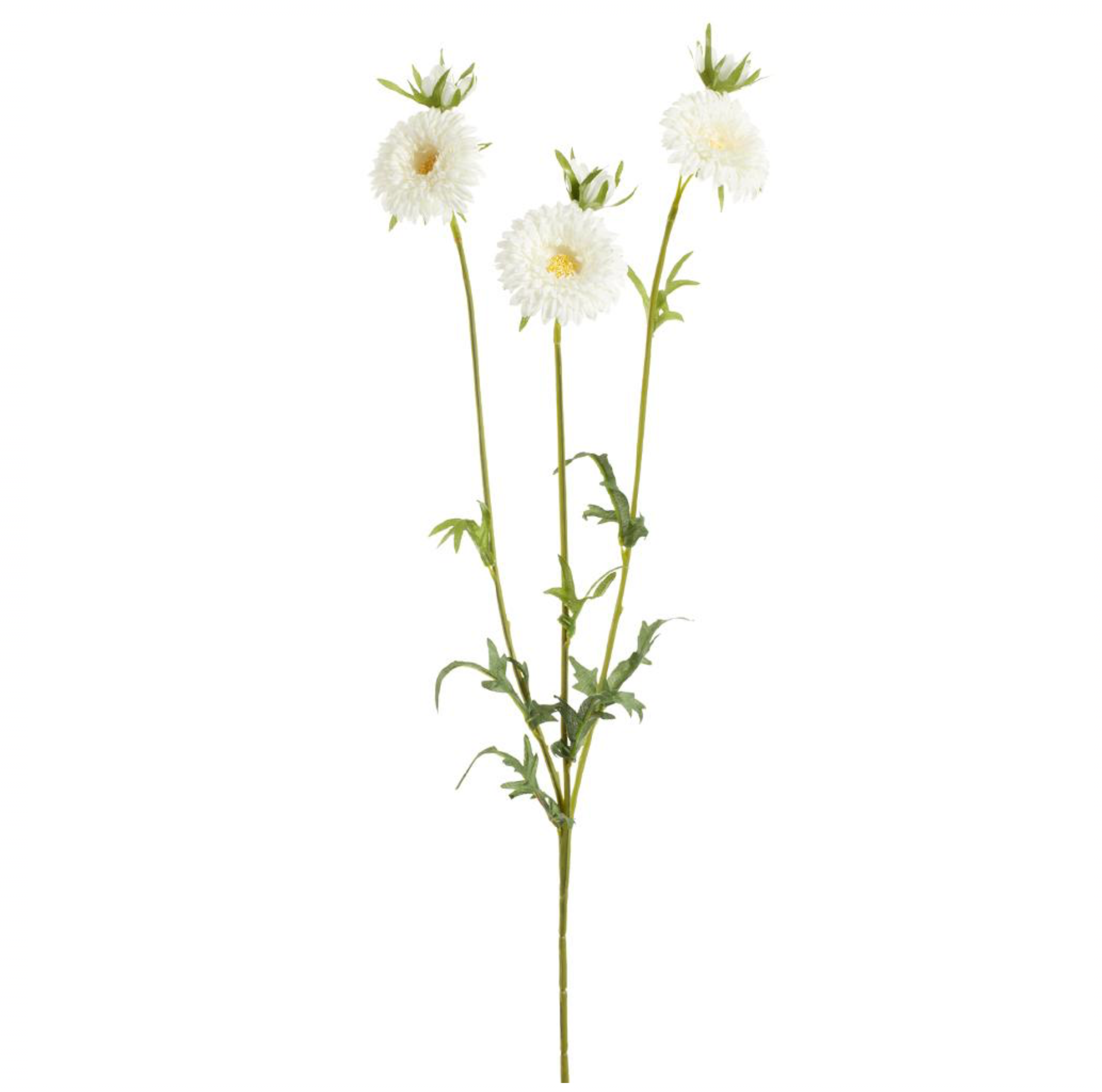 26" Gerbera Daisy Spray ( FSG401-White )