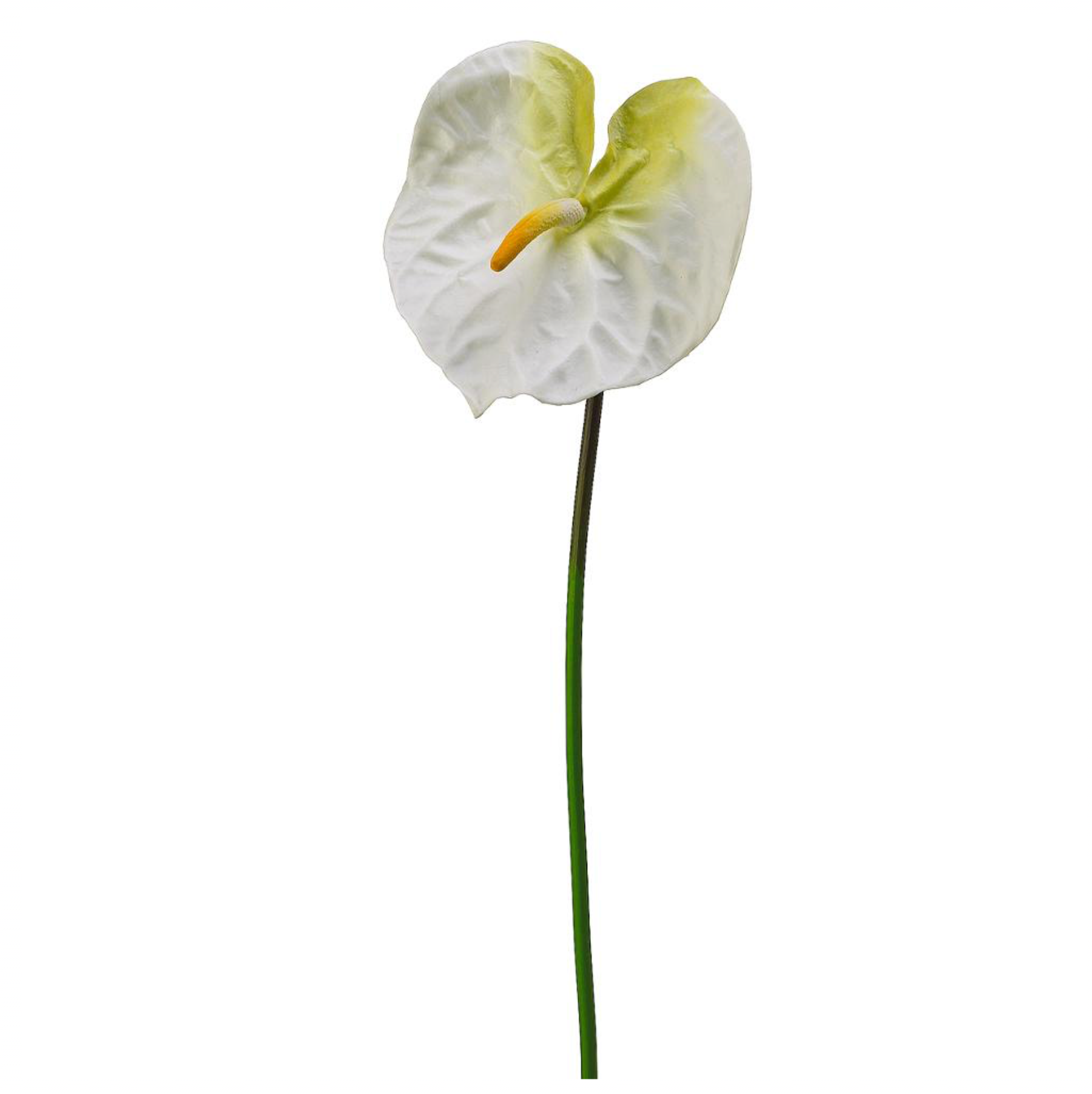 27" Real Touch Anthurium Spray ( JYA290-Cream/White )