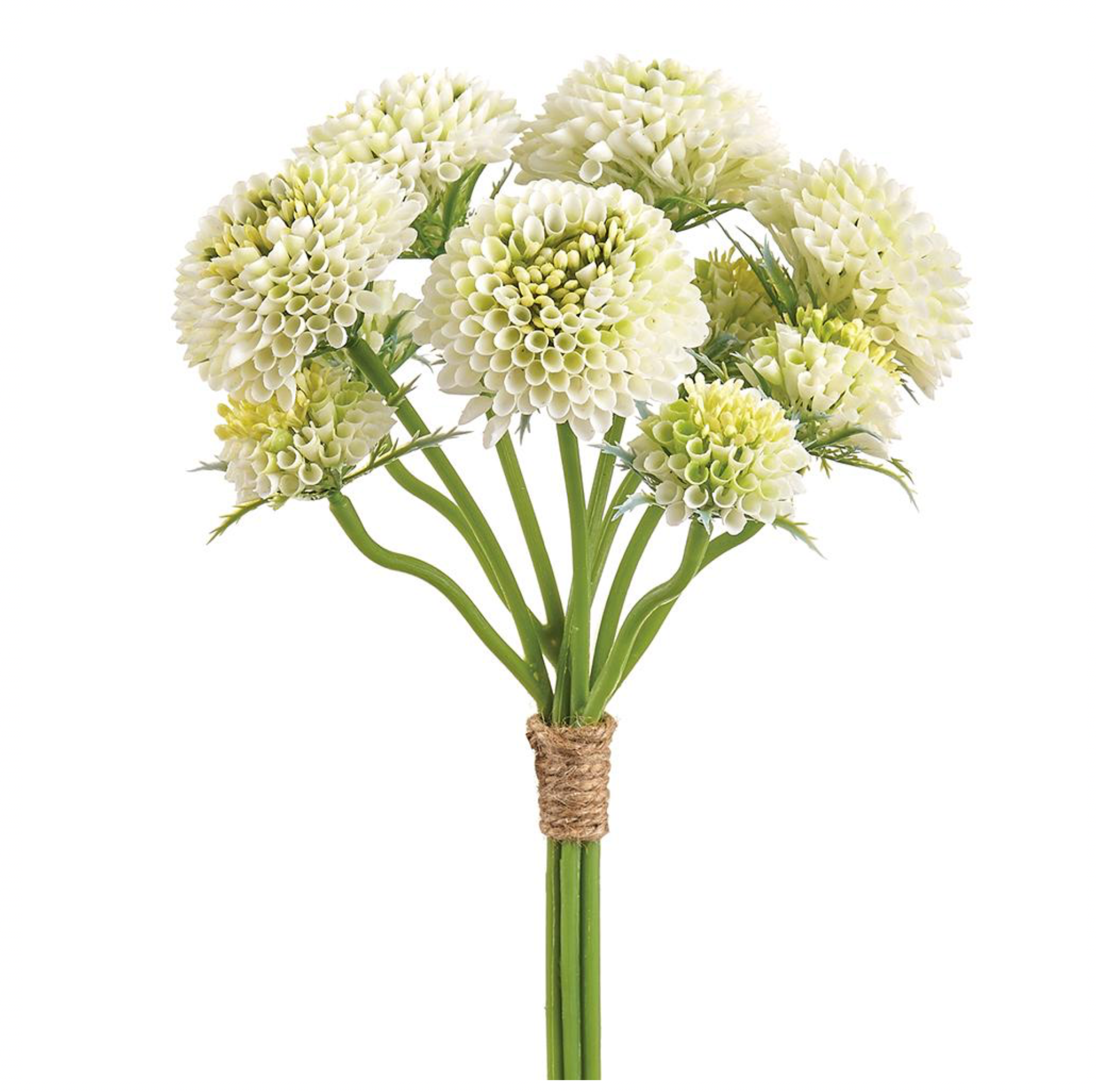 14" Pompon Dahlia Bundle ( FBD055-Cream/Green )