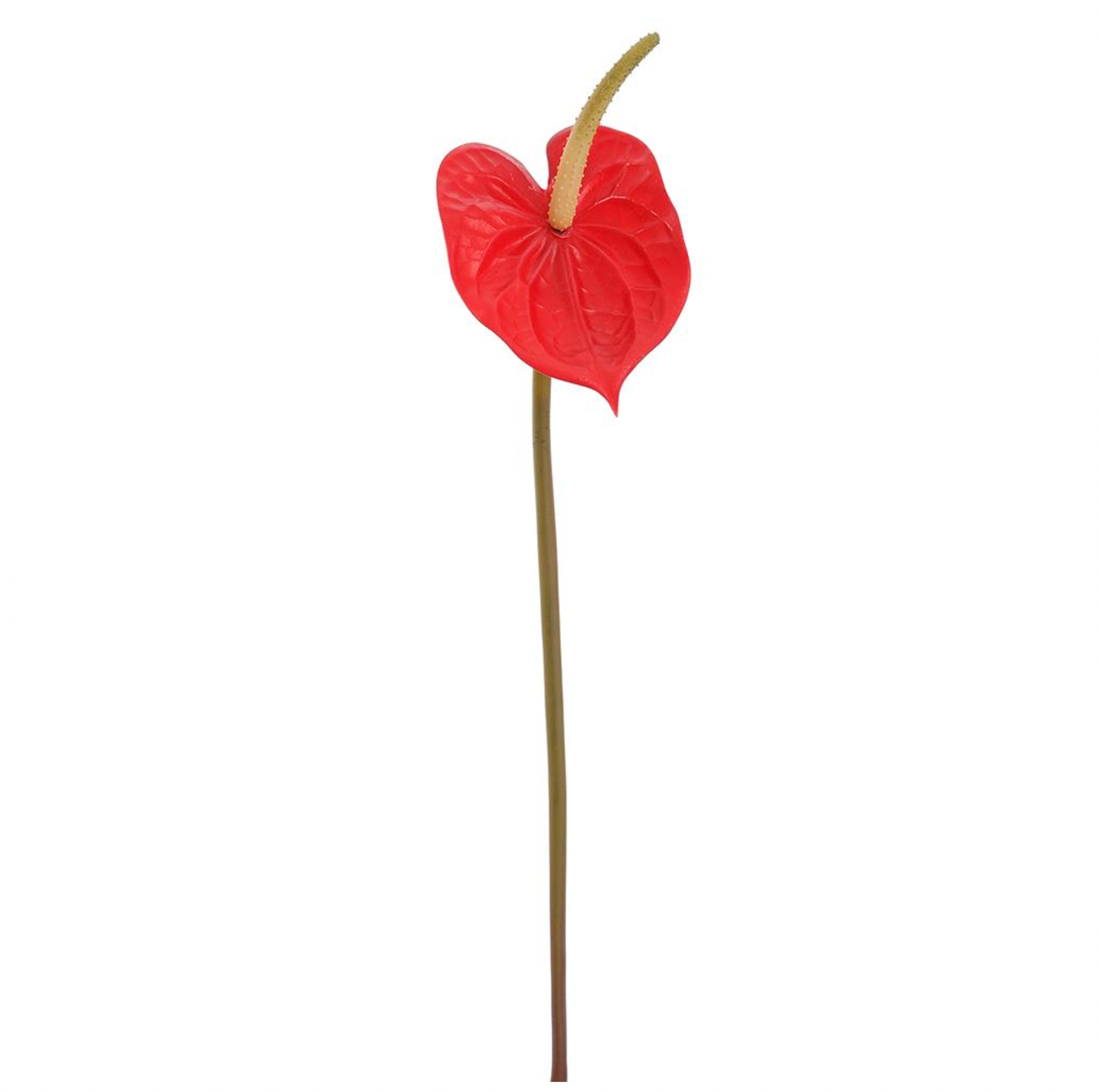 21" Anthurium Spray ( FSA618-Red )