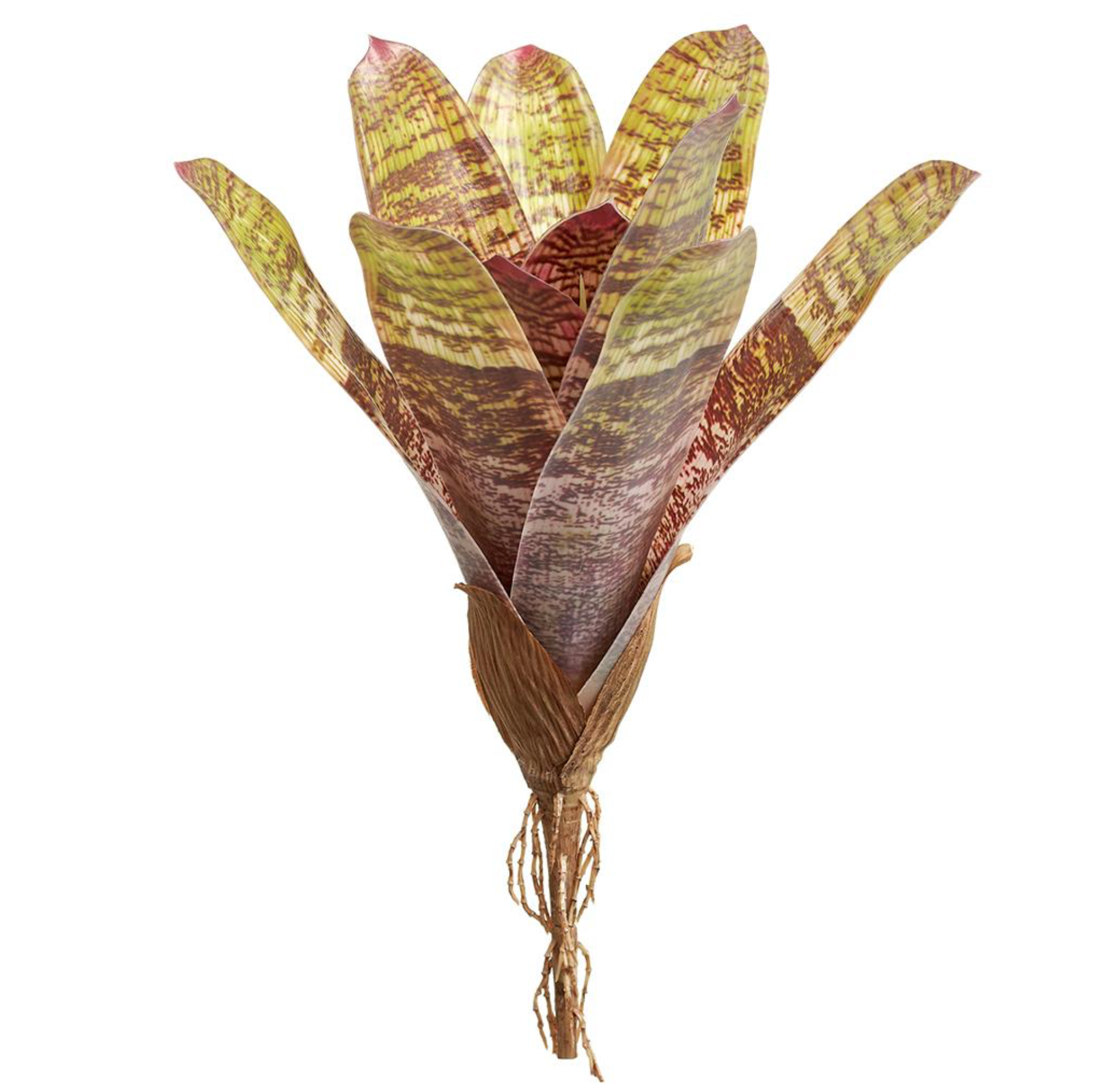 12'' Bromeliad Plant ( PPB084-GR/BU )