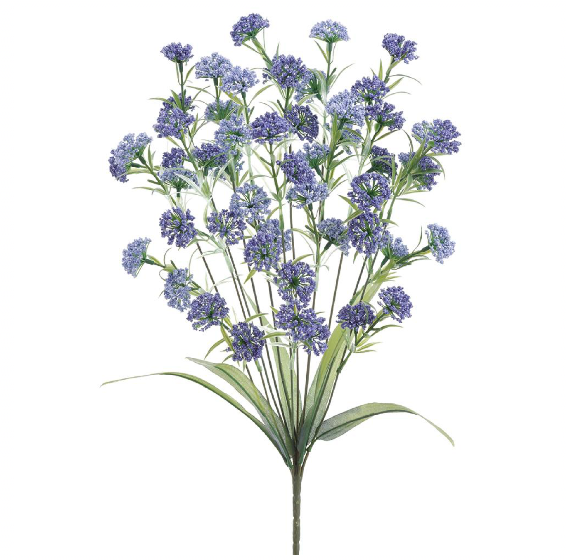 21" Lantana Bush ( FBL348-BL/TT )